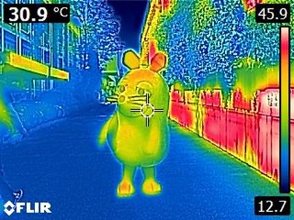 "Die Maus" als Thermographiebild