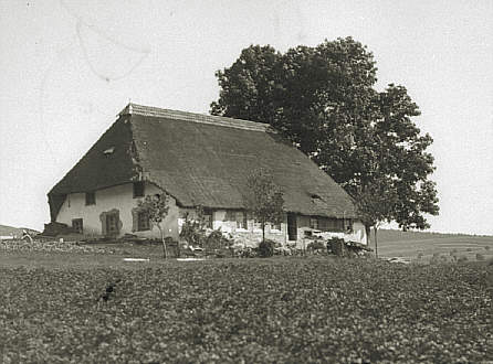 Hotzenhaus mit Hausbaum